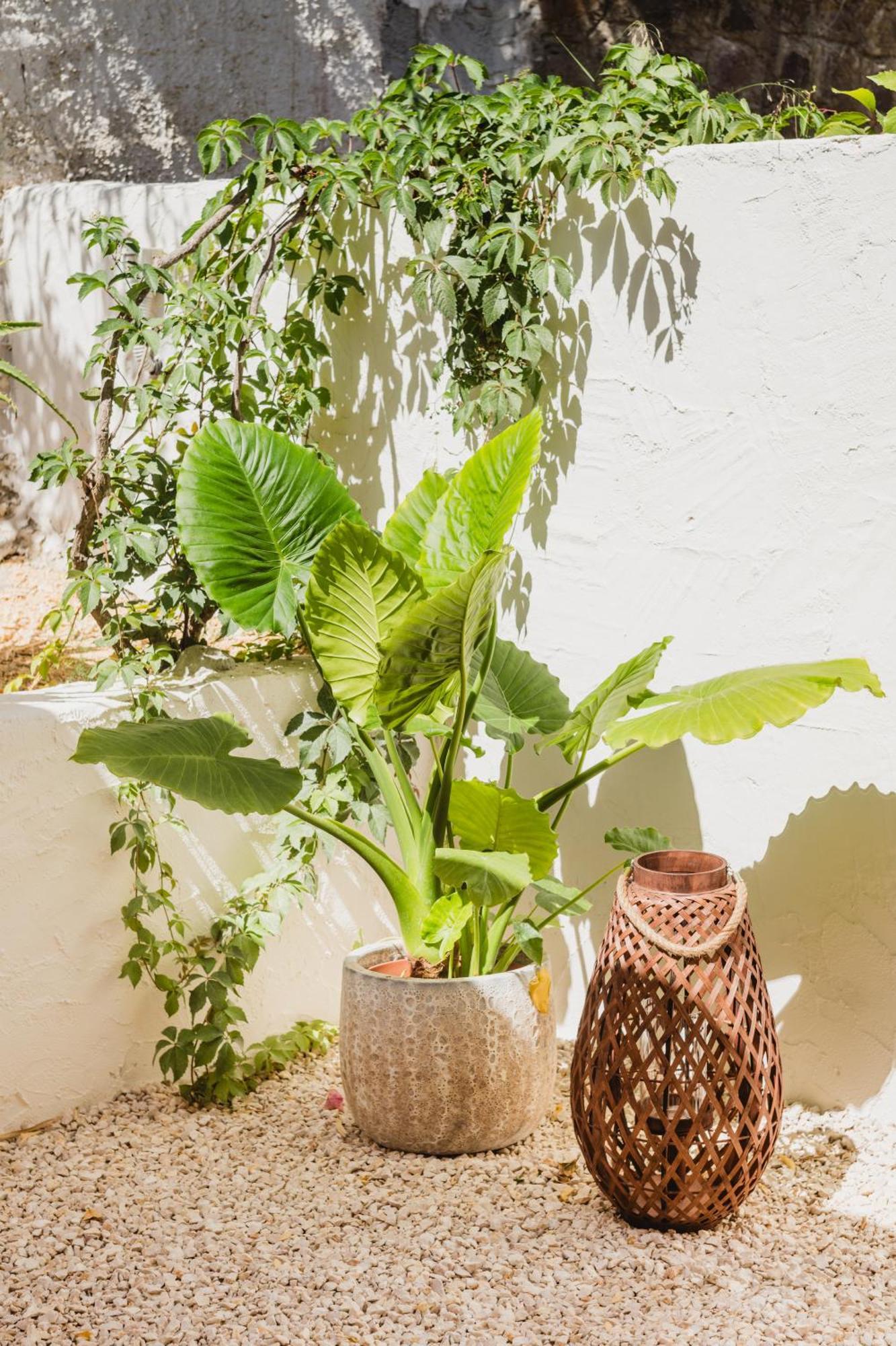 Alenu Bed and Breakfast Alghero Buitenkant foto